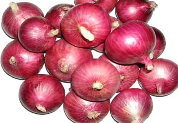 Dark Red onion