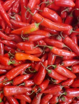 H Red Chillies