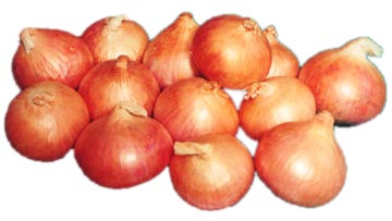Light Red Onion