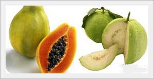 Mango Pulp, Guava Pulp, Papaya Pulp
