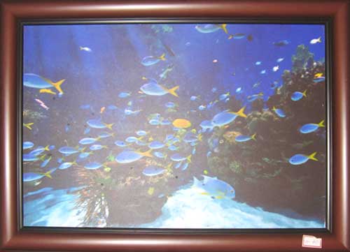Varrmas Digital Underwater Painting