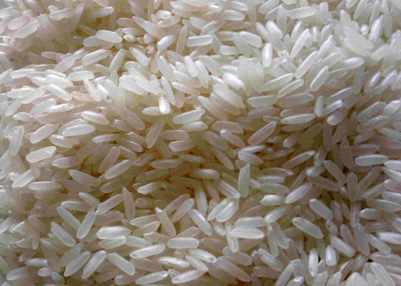 Grain Rice