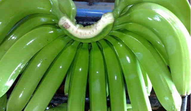 raw banana
