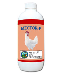 Mector - P