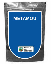 Metamou