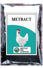 Metbact