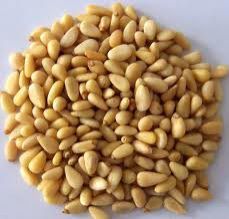 Pine Kernels