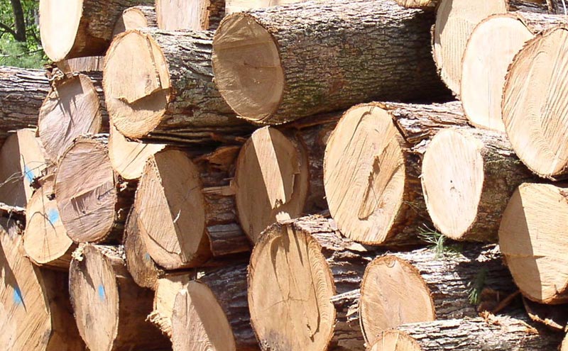 Maple Wood Wallaba Wood Wholesale Suppliers, Trinidad and Tobago