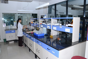 environmental laboratory services