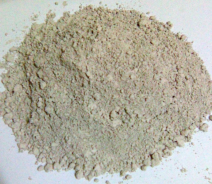 Diatomaceous earth powder, Purity : 95%