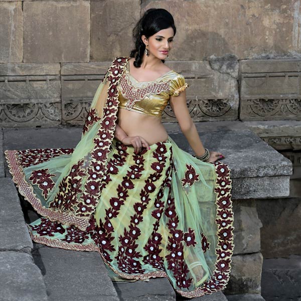 Beige Net Lehenga Saree