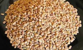 fenugreek seed