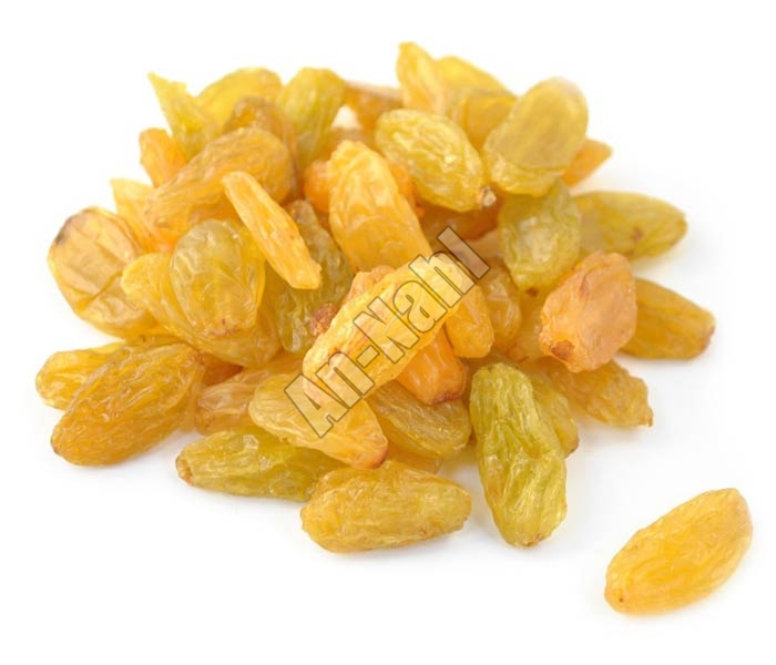 Raisin Buy Raisin in Mumbai Maharashtra India from AnNahl. Find here