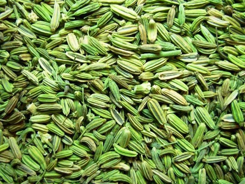 fennel seed