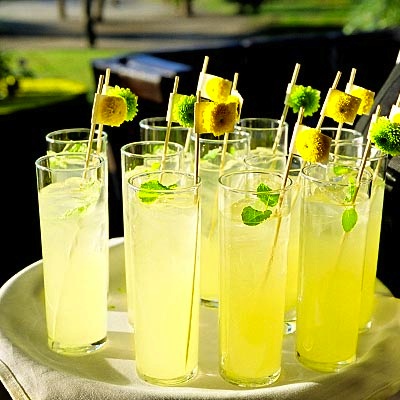G-lemon Lemon Juice