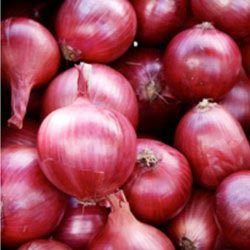 Fresh red onion