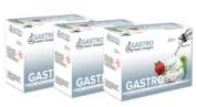 Gastro 10 Multiple Whipped Cream Charger