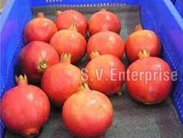 Fresh Ruby Pomegranates
