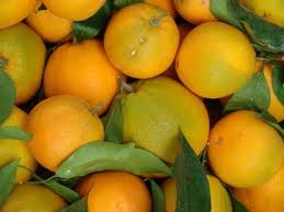 Orange Tangy Flavour