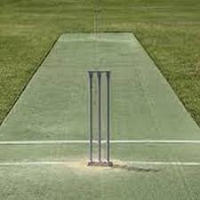 Artificial Cricket Pitch