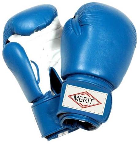 Mens Boxing Gloves (MS BGL 01)