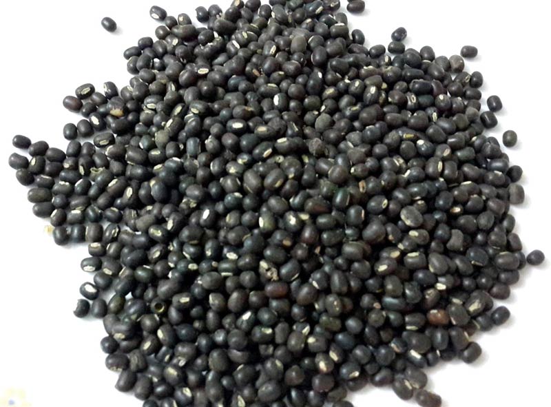 Black Gram Beans Buy Black Gram Beans in Thanjavur Tamil Nadu India