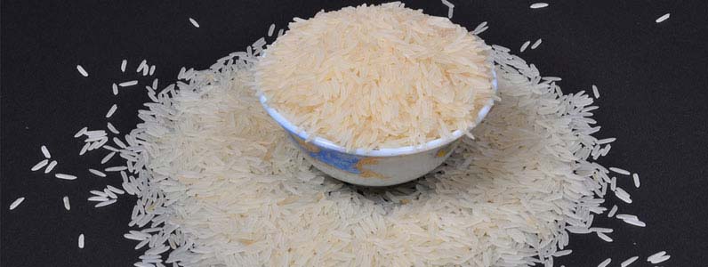 1509 Basmati Rice (White Sella), Style : Dried