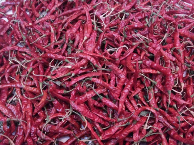 Red Chilli (Byadgi)