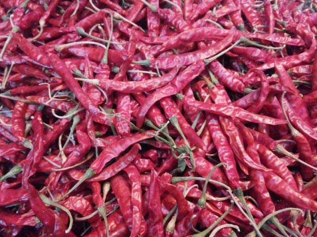 Red Chilli (S-4)