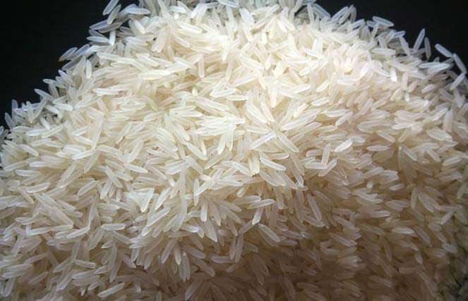 Sugandha Basmati Rice (White Sella)