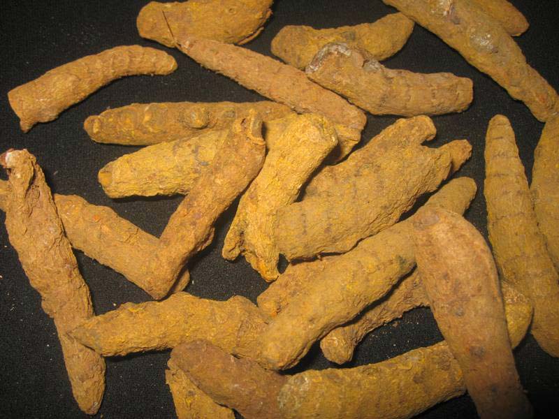 Turmeric Finger (Without Polish)