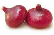 Big Onion