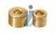 Brass Socket Pipe Plugs