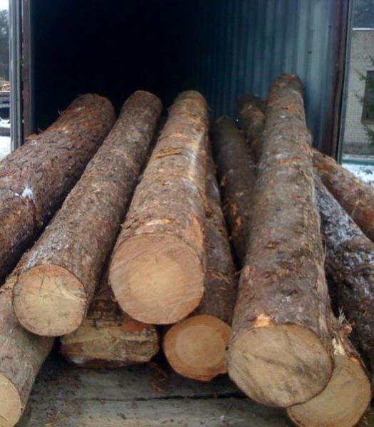 Pine Wood Logs
