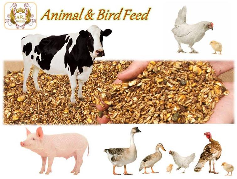 Animal Feeds