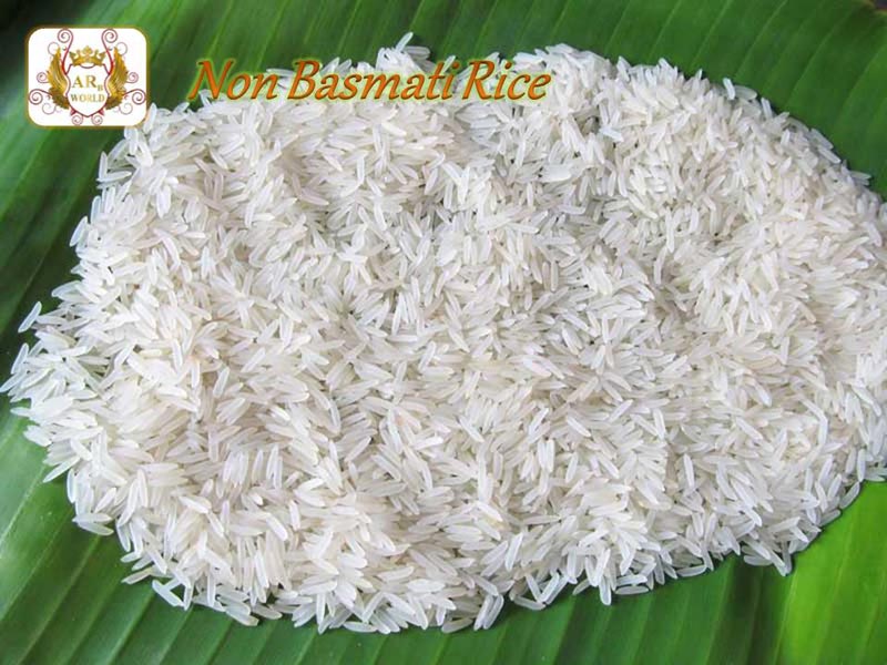 Non Basmati Rice - Leci. Export Global Pvt. Ltd., Indore, Madhya Pradesh