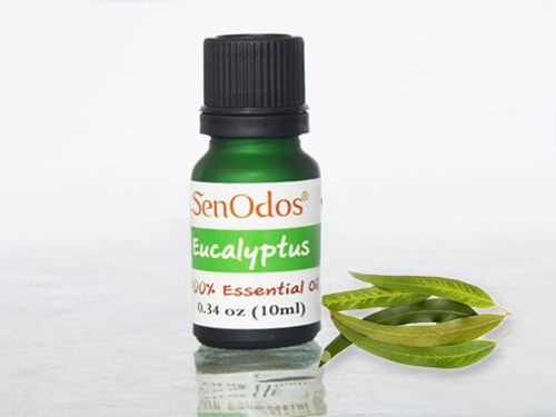 Eucalyptus Essential Oil 10ml