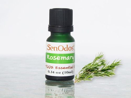 Rosemary Essential Oil 10ml