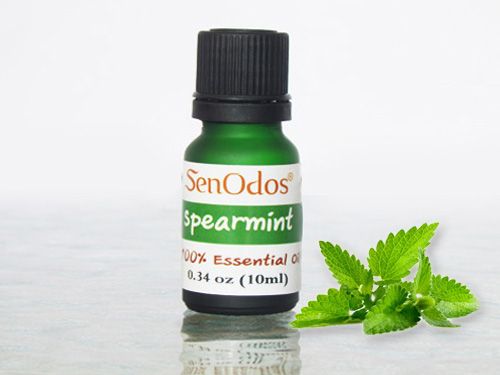 Spearmint Essential Oil  10ml
