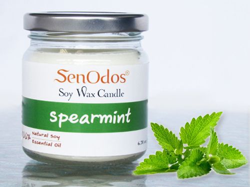 Spearmint Soy Candle 190g /45g