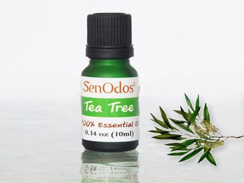 Tea Tree Essential Oil  10ml