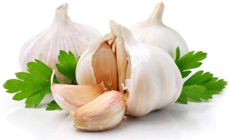 Fresh garlic