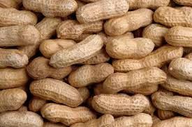 Peanuts Shell