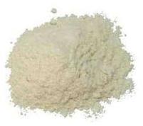 onion powder