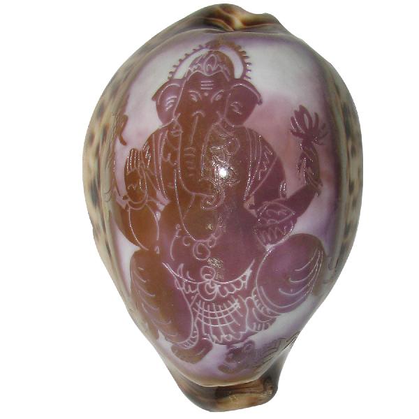 Lord Ganesh Ganapathy Art on Cowrie Kawdi Kaudi Kowdi Sea Shell - A1086