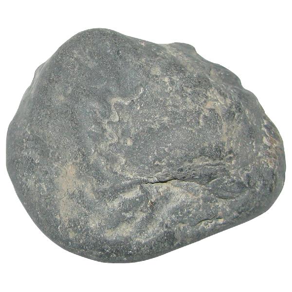 Stone Saligramam