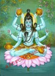 Mahamrityunjaya Yagya