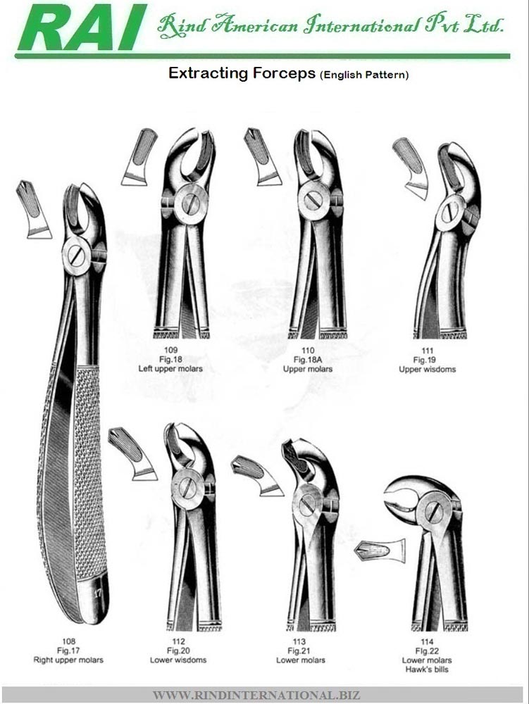 Dental Forceps Types