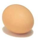 Fresh Brown Egg