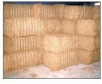 Natural Coir Sisal Fibre